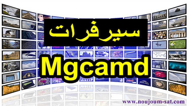 CCCam mgcamd 1